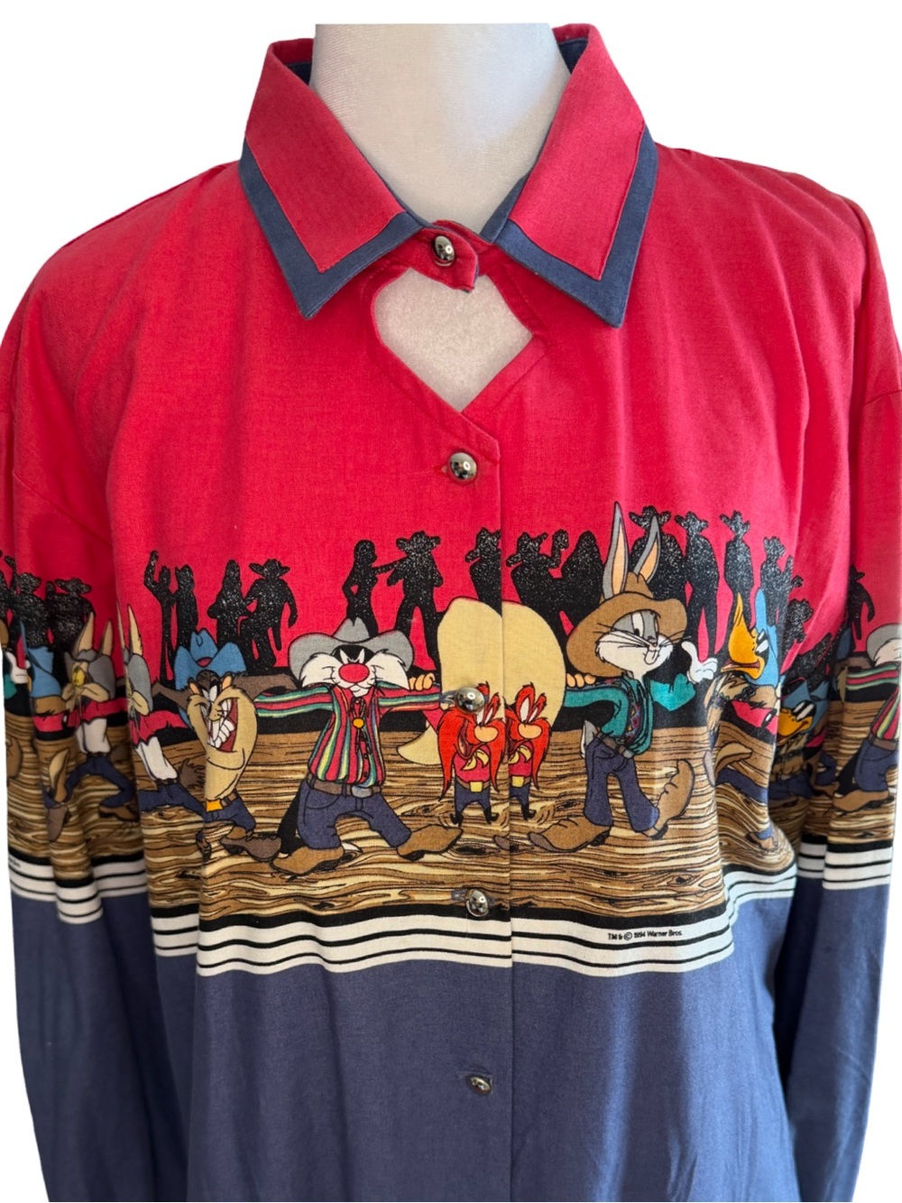 Vintage 1990’s Women’s Long Sleeved Looney Tunes Western Collection. Size L